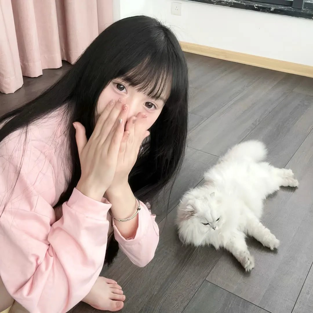 救援狗